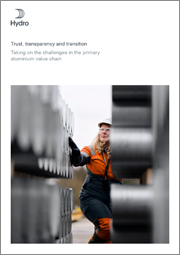 Trust, transparency and transition white paper