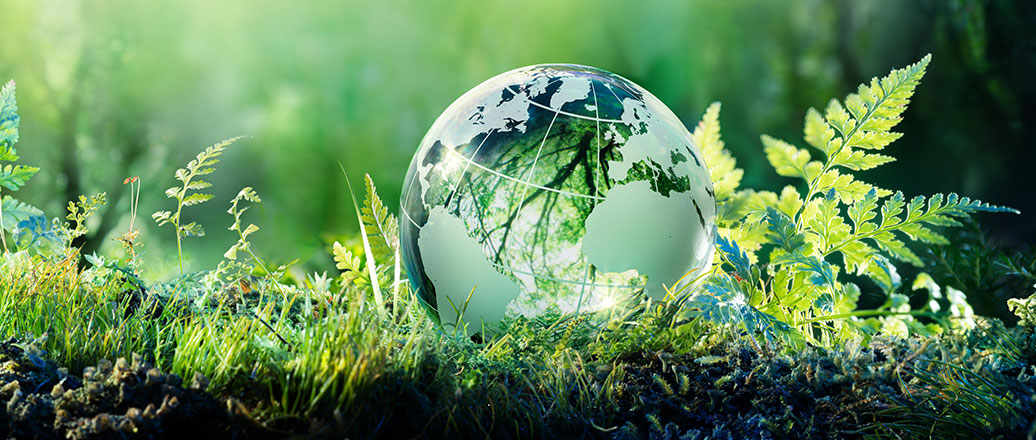 Klarer Globus auf Waldboden