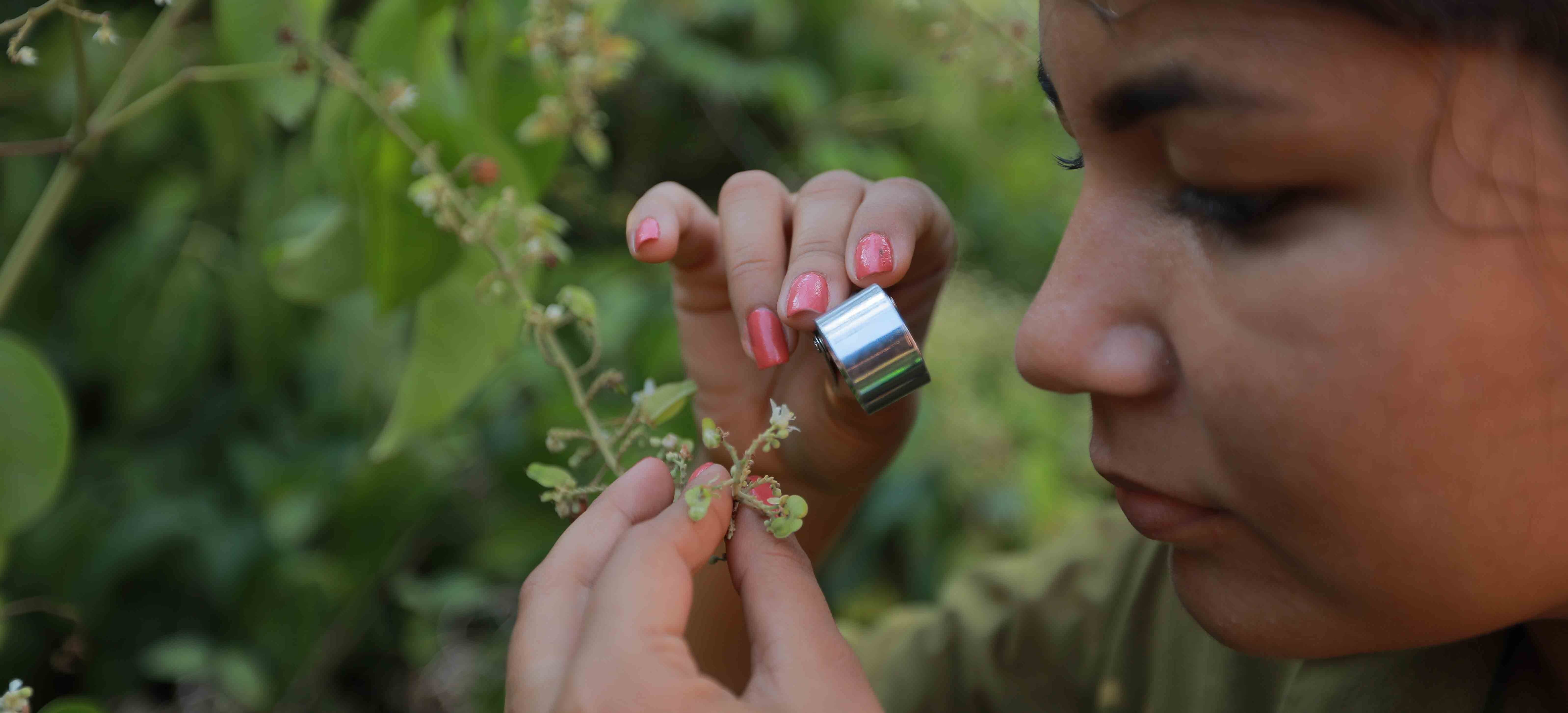 a person holding a small plant