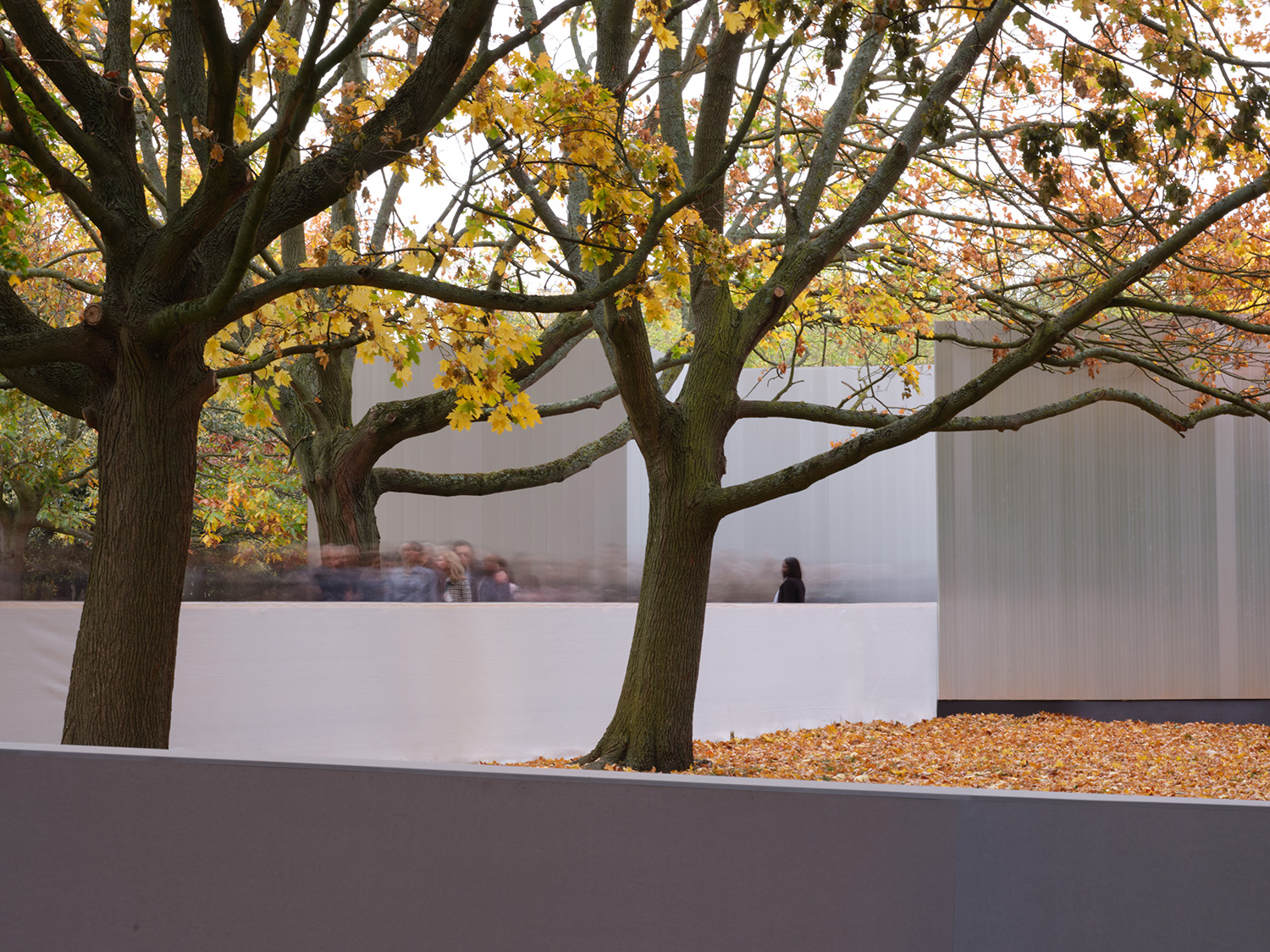 a group of trees next to a aluminium wall