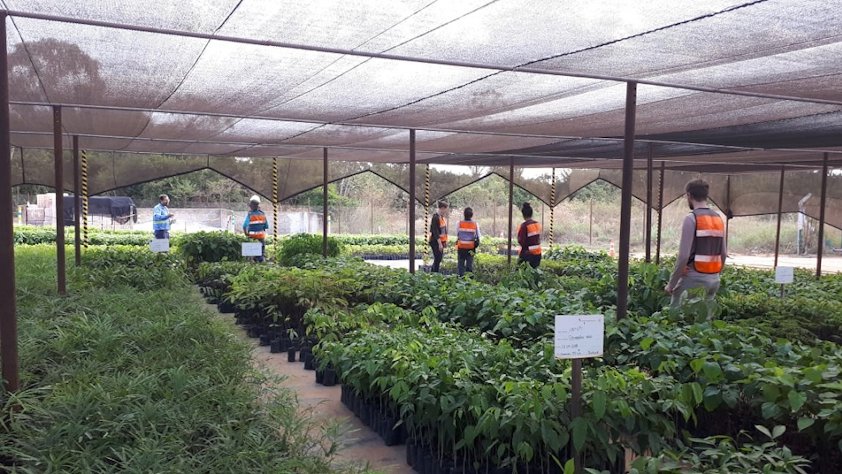 people in a greenhouse