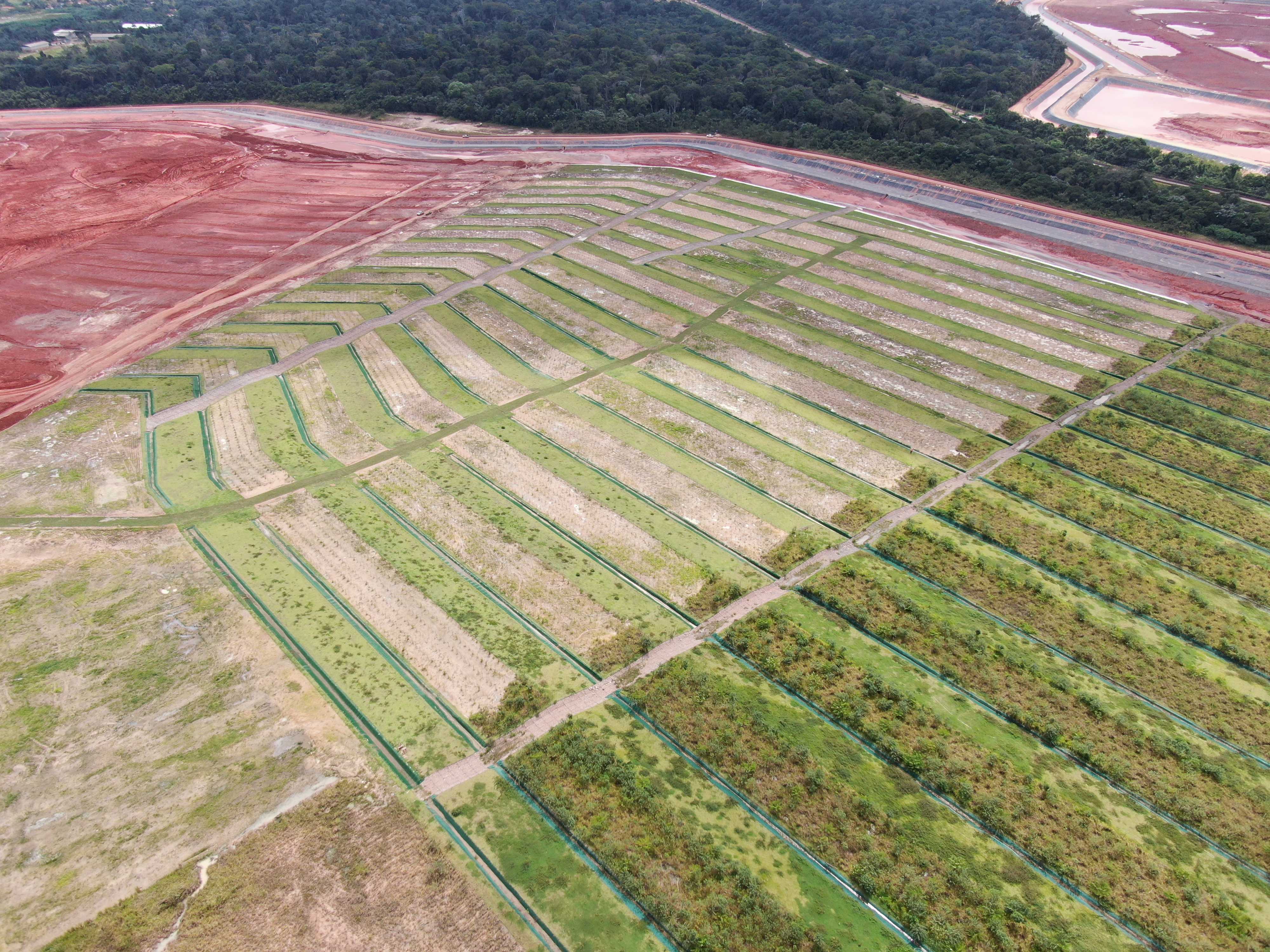 240121_revegetação DRS1